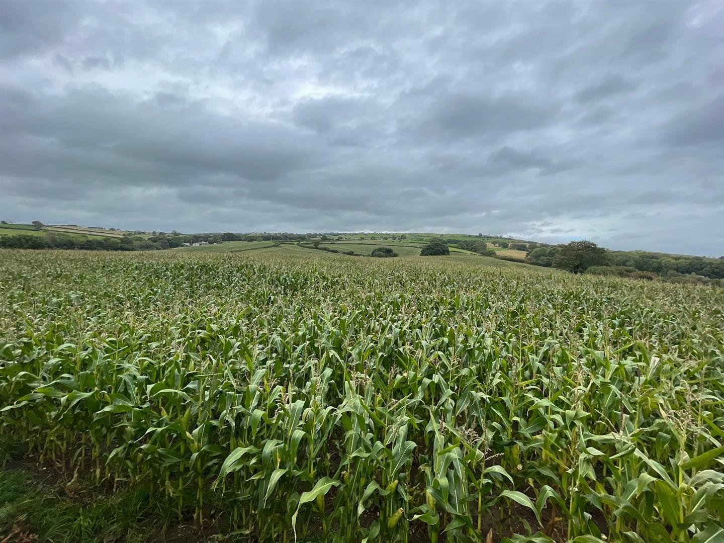 Groes Road, Colwyn Bay Clough & Co